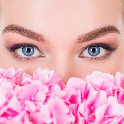 Estética de la mirada